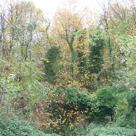 公寓 Fuer 3 Personen Ca- 37 M²- In Lumarzo- Norditalien - Ligurien By Interhome *